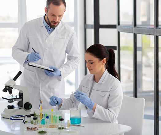 Requisiti per laccesso allo studio della farmacia in Bulgaria